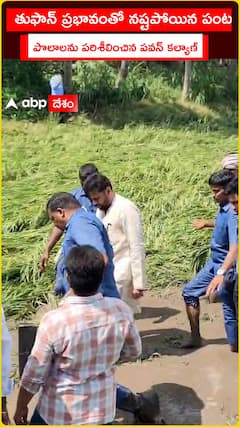 తుఫాన్ ప్రభావిత ప్రాంతాల్లో పర్యటించిన డిప్యూటీ సీఎం పవన్ కల్యాణ్
