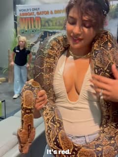 Priyanka Chopra Photo: ગળામાં વિશાળકાય અજગર સાથે પ્રિયંકા ચોપરાએ આપ્યા પોઝ