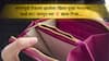 Financial detox : सणानंतर रिकामा झालेला खिसा पुन्हा भरायचा आहे का? जाणून घ्या हे स्मार्ट टिप्स...