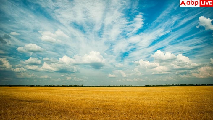 डेट्रॉइट का AQI 8 दर्ज हुआ है. हालांकि यह हमेशा अच्छा नहीं रहता. पहले यहां की ऑटो इंडस्ट्री और कचरा जलाने वाले प्लांट्स प्रदूषण के बड़े कारण थे. 2019 में शहर का सबसे बड़ा इंसीनरेटर बंद होने के बाद हालात कुछ बेहतर हुए.