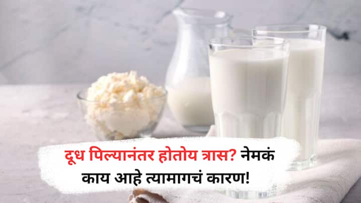 Milk Intolerance : दूध पिल्यानंतर पोट फुगतं किंवा जुलाब होत असतील, तर ते लॅक्टोज इनटॉलरन्सचं लक्षण असू शकतं. जाणून घ्या...