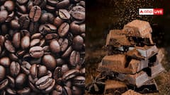 जिस कोको से बनती है चॉकलेट, उसे उगाने में टॉप पर कौन; लिस्ट में कितने नंबर पर है भारत?