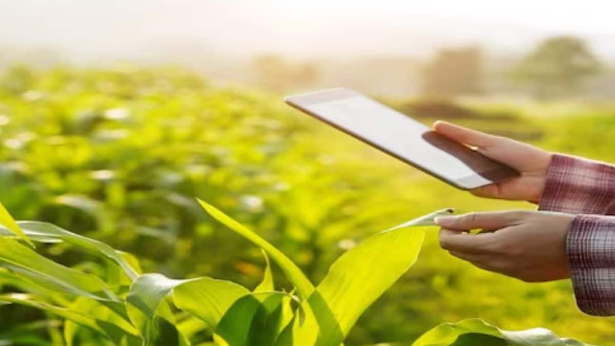 ब्रेकिंग: पीक पाहणीसाठी मुदतवाढ! शेतकऱ्यांसाठी खुशखबर, बावनकुळेंनी दिले आदेश!