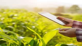 राज्यात 100 टक्के पीक पाहणीसाठी पुन्हा मुदतवाढ; महसूल मंत्री चंद्रशेखर बावनकुळेंचे सर्व जिल्हाधिकाऱ्यांना आदेश