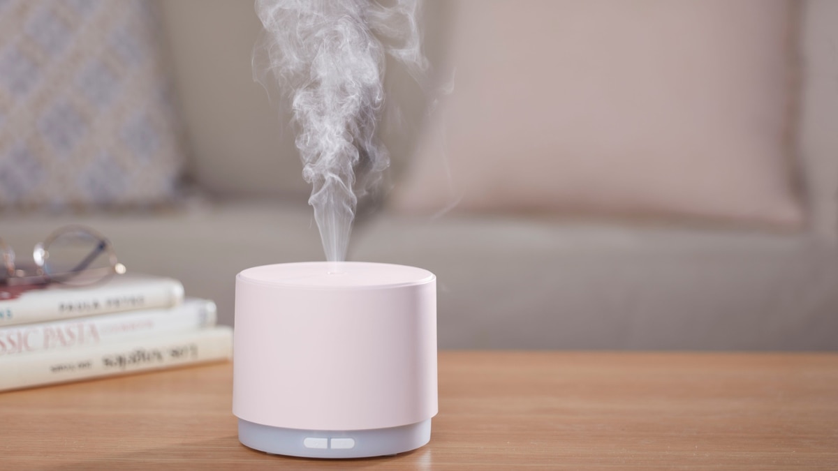 (छवि स्रोत: कैनवा)