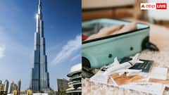 क्या UAE में भारतीयों को मिला है वीजा ऑन अराइवल, जानें नियमों में क्या हुआ बदलाव?