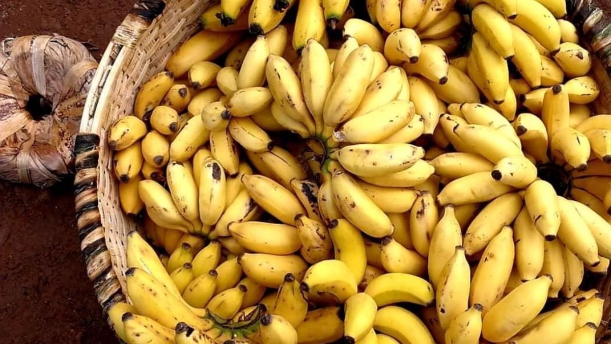 (छवि स्रोत: Pinterest/bethanyoneil)