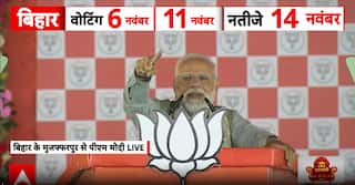 Bihar Election: PM Modi Urges UNESCO Recognition For Chhath Puja, Slams RJD-Congress Over Insult