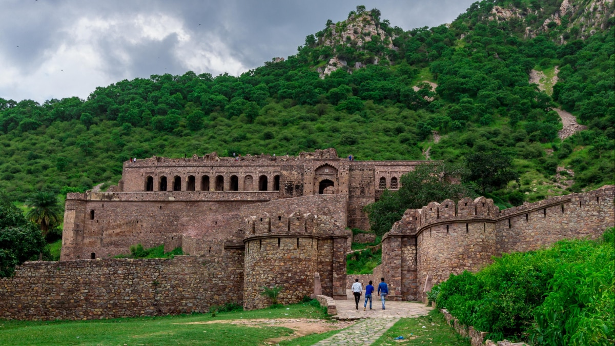 (छवि स्रोत: Twitter/@DiscoverAtoZ)