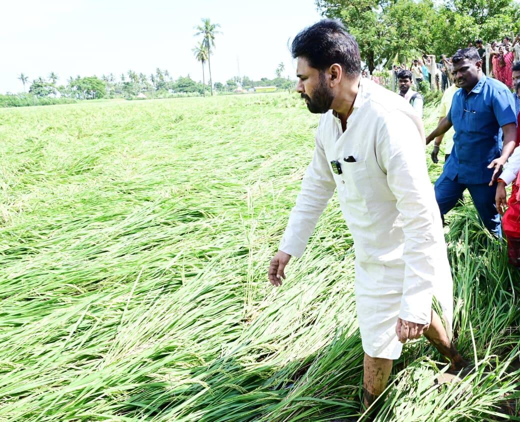 Pawan Kalyan: తుపాను ప్రభావిత ప్రాంతాలను విజిట్ చేసిన పవన్ - ప్రభుత్వం అండగా ఉంటుందని రైతులకు భరోసా