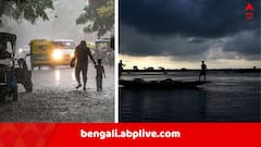 রাজ্যের ২৩ জেলায় বজ্রবিদ্যুৎ-বৃষ্টির আশঙ্কা, হলুদ, কমলা ও লাল সতর্কতা জারি করল  IMD, ফের ধসের আশঙ্কা পার্বত্য এলাকায় !