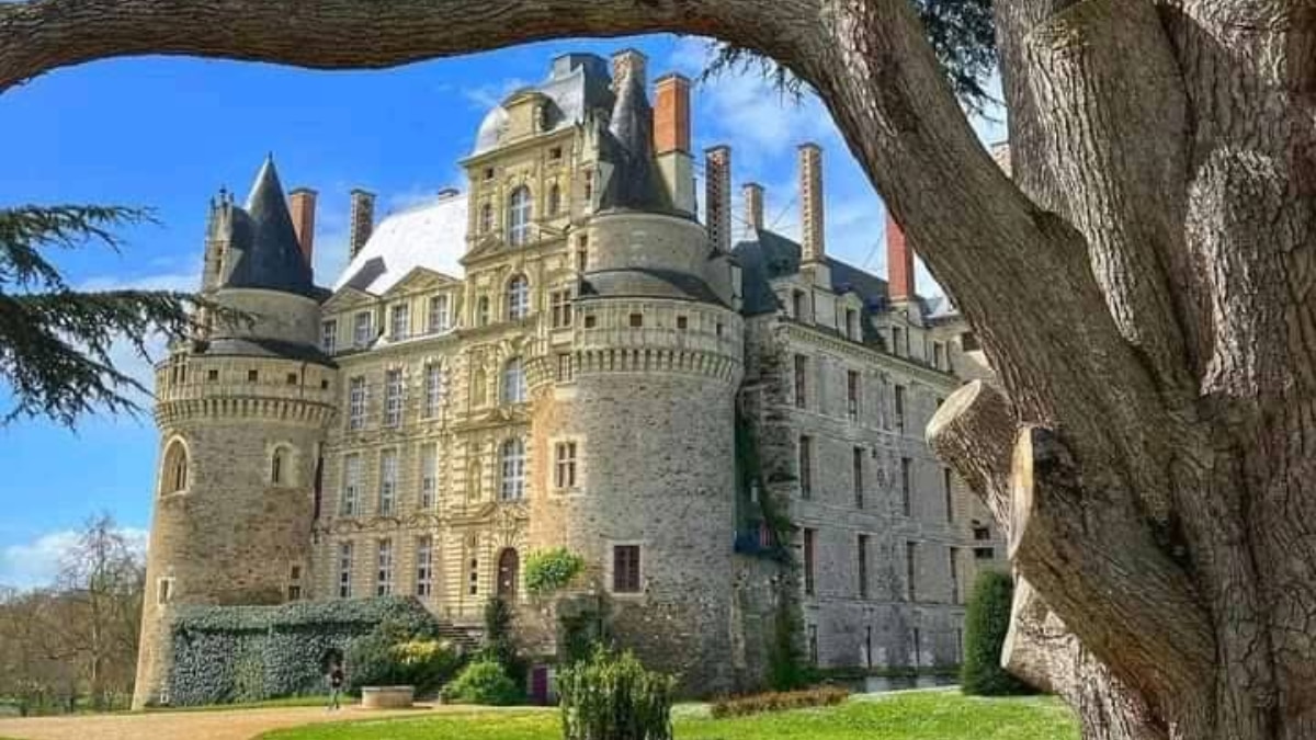 (छवि स्रोत: ट्विटर/@veritebeaute)