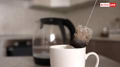 Tea Bag Invention: టీ-బ్యాగ్ ఎలా ఆవిష్కరించారు? ఒక చిన్న ఆలోచన ఇంత పెద్ద వ్యాపార సామ్రాజ్యంగా మారింది?