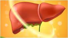 Liver Disease: ਲੀਵਰ ਦੀ ਬਿਮਾਰੀ ਸਰੀਰ ਨੂੰ ਇੰਝ ਬਣਾਉਂਦੀ 'ਹੱਡੀਆਂ ਦੀ ਮੁੱਠ', ਮਸ਼ਹੂਰ ਅਦਾਕਾਰ ਦਾ ਹੋਇਆ ਬੁਰਾ ਹਾਲ; ਇੰਝ ਬਣਿਆ ਪਿੰਜਰ...