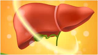 Liver Disease: ਲੀਵਰ ਦੀ ਬਿਮਾਰੀ ਸਰੀਰ ਨੂੰ ਇੰਝ ਬਣਾਉਂਦੀ 'ਹੱਡੀਆਂ ਦੀ ਮੁੱਠ', ਮਸ਼ਹੂਰ ਅਦਾਕਾਰ ਦਾ ਹੋਇਆ ਬੁਰਾ ਹਾਲ; ਇੰਝ ਬਣਿਆ ਪਿੰਜਰ...