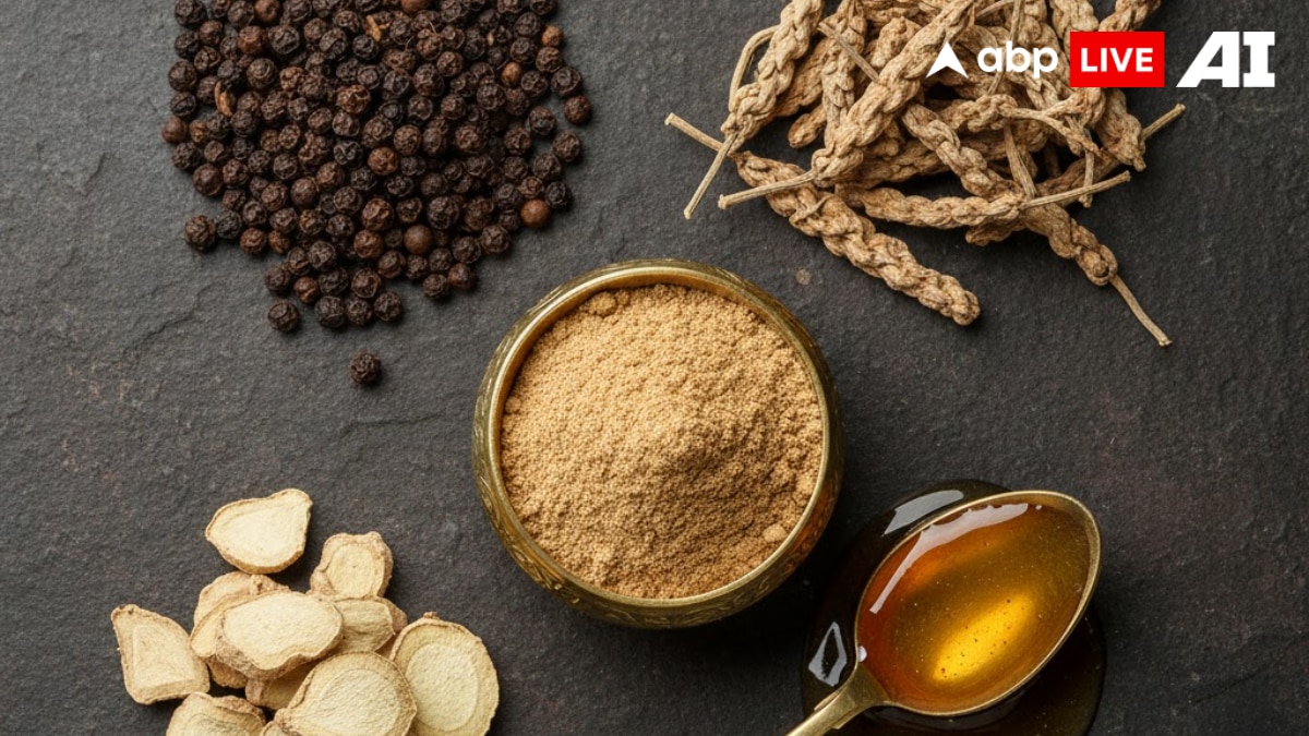 (छवि स्रोत: ABPLIVE AI)