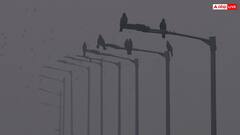 दिल्ली-एनसीआर में सांस लेना हुआ मुश्किल! छाया घना कोहरा, AQI 380 के पार, हो सकती है बारिश