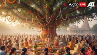 Amla Navami 2025: Know Date, Puja Vidhi, And Significance Of Akshay Navami