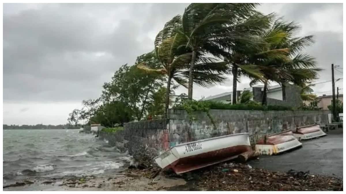 Andhra Pradesh Heavy Rains: ఆంధ్రప్రదేశ్‌ను వదలని వానలు- 11 జిల్లాలకు రెడ్ అలర్ట్‌- తుపాను నష్ట అంచనాలు ప్రారంభం