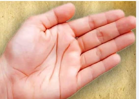 ਜੇਕਰ ਤੁਹਾਡੇ ਹੱਥਾਂ 'ਤੇ ਇਹ ਸ਼ੁਭ ਨਿਸ਼ਾਨ ਹਨ, ਤਾਂ ਤੁਹਾਡੀ ਕਿਸਮਤ ਤੁਹਾਨੂੰ ਅਮੀਰ ਅਤੇ ਖੁਸ਼ਹਾਲ ਬਣਾ ਸਕਦੀ ਹੈ। ਆਓ ਇਨ੍ਹਾਂ ਸ਼ਕਤੀਸ਼ਾਲੀ ਚਿੰਨ੍ਹਾਂ ਅਤੇ ਉਨ੍ਹਾਂ ਦੇ ਡੂੰਘੇ ਰਾਜ਼ਾਂ ਬਾਰੇ ਡਿਟੇਲ ਵਿੱਚ ਜਾਣੀਏ...