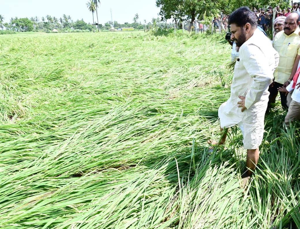 Pawan Kalyan: తుపాను ప్రభావిత ప్రాంతాలను విజిట్ చేసిన పవన్ - ప్రభుత్వం అండగా ఉంటుందని రైతులకు భరోసా