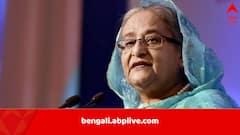 ভারতে কেমন আছেন তিনি? বাংলাদেশে কি ফিরবেন আর? মুখ খুললেন শেখ হাসিনা