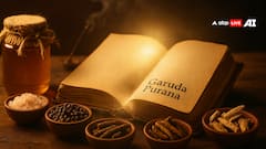 गरुड़ पुराण का आयुर्वेदिक रहस्य 'मधुकसार' से हर बुखार होगा छूमंतर! जानिए बनाने का तरीका और सावधानियां