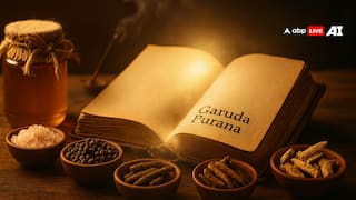 गरुड़ पुराण का आयुर्वेदिक रहस्य 'मधुकसार' से हर बुखार होगा छूमंतर! जानिए बनाने का तरीका और सावधानियां