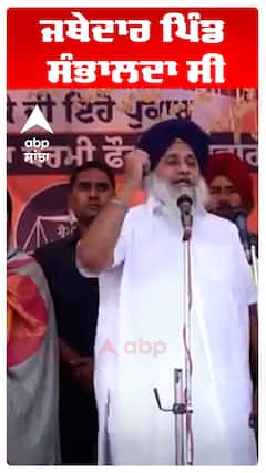 ਜਥੇਦਾਰ ਪਿੰਡ ਸੰਭਾਲਦਾ ਸੀ