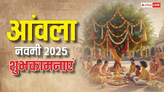 Happy Amla Navami 2025: आंवला नवमी 31 अक्टूबर को, ये मैसेज भेज विष्णु भक्तों को दें अक्षय नवमी की बधाई