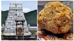 శ్రీవారి లడ్డూ ప్రసాదం కల్తీ నెయ్యి కేసులో కీలక పరిణామం- వైవీ సుబ్బారెడ్డిని విచారణకు పిలుస్తారా?