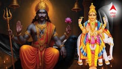 শনি-গুরুর জোড়া গোচর, এই রাশিদের ভাগ্যে টাকার ঝড়! লটারিতে বিরাট লাভ, হাতে আসবে সোনার তাল