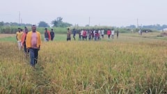 सीवान में ASI की हत्या, गला काटकर खेत में फेंका, दरौंदा थाने में तैनात थे अनिरुद्ध कुमार