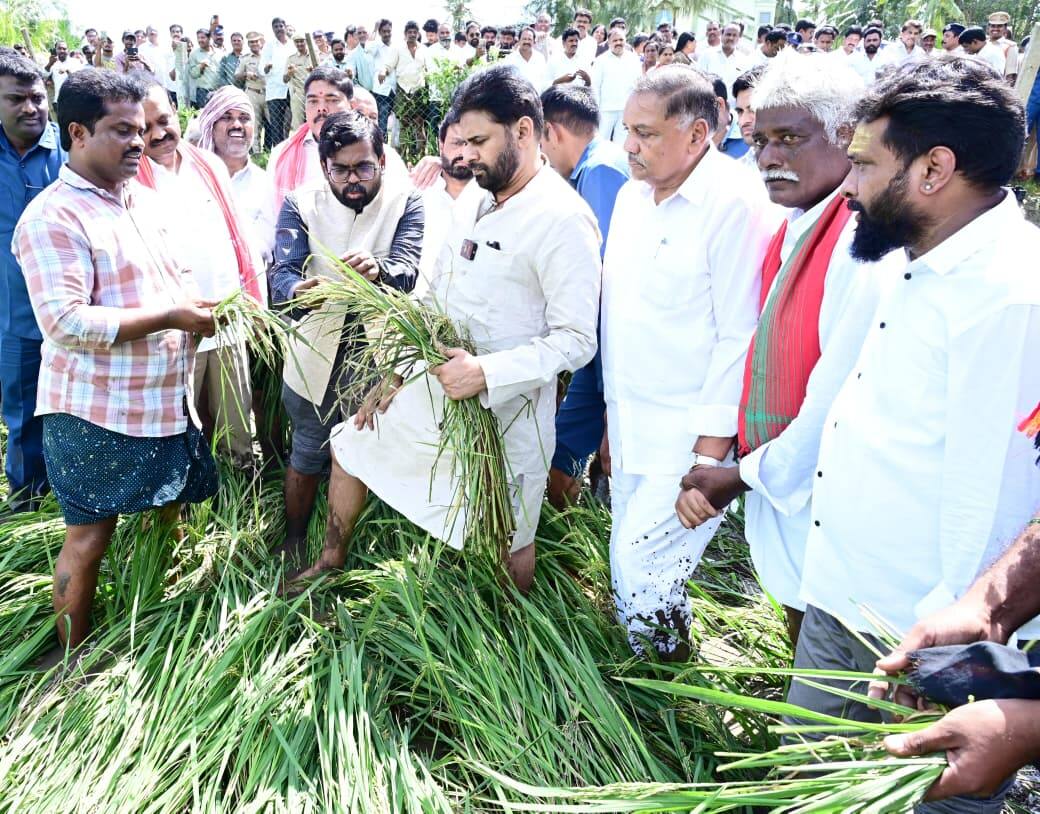 Pawan Kalyan: తుపాను ప్రభావిత ప్రాంతాలను విజిట్ చేసిన పవన్ - ప్రభుత్వం అండగా ఉంటుందని రైతులకు భరోసా