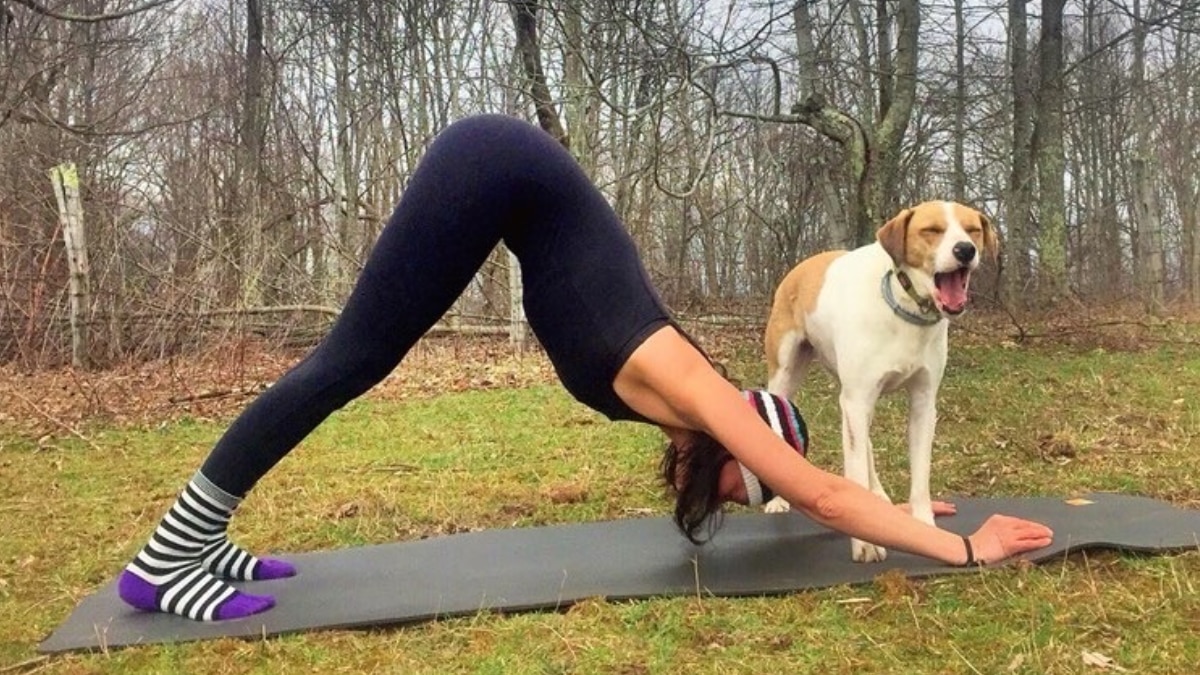 8 Indoor Yoga Poses That Burn Calories Faster Than You Think