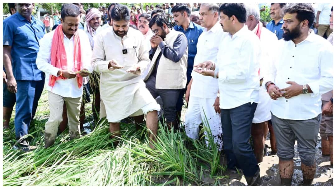 andhra Pradesh deputy cm Pawan visits cyclone affected areas assures farmers that government will stand by them Pawan Kalyan: తుపాను ప్రభావిత ప్రాంతాలను విజిట్ చేసిన పవన్ - ప్రభుత్వం అండగా ఉంటుందని రైతులకు భరోసా