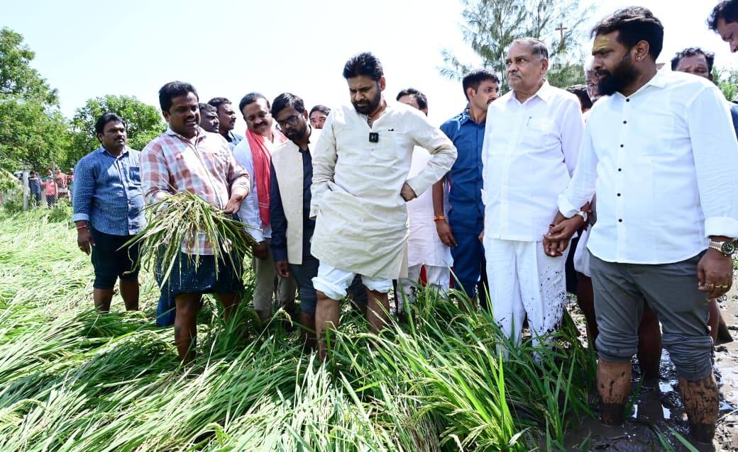 Pawan Kalyan: తుపాను ప్రభావిత ప్రాంతాలను విజిట్ చేసిన పవన్ - ప్రభుత్వం అండగా ఉంటుందని రైతులకు భరోసా