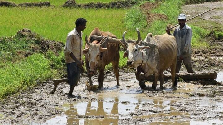 మీకు తెలియజేయడానికి, ఈ పథకం ప్రయోజనం దేశంలోని చిన్న, సన్నకారు రైతులందరికీ లభిస్తుంది, వీరికి రెండు హెక్టార్ల వరకు భూమి ఉంది. మీరు పథకానికి అర్హులైతే , ఇప్పటివరకు నమోదు చేసుకోకపోతే, 21వ వాయిదా వచ్చేలోపు ఈ పనిని చేయండి.
