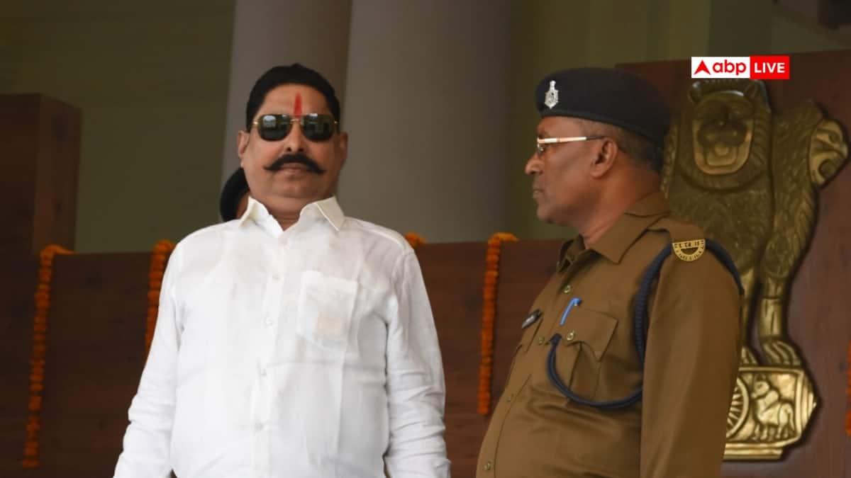 अनंत सिंह के खिलाफ कानून की संगीन धाराओं में दर्ज हैं 28 मामले, हत्या और चोरी जैसे अपराध शामिल