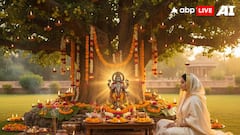 Amla Navami 2025: Significance, Rituals And Spiritual Meaning Of Worshipping The Sacred Amla Tree