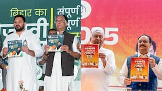 NDA vs Mahagathbandhan: Who Promised What In The Bihar Election Manifestos