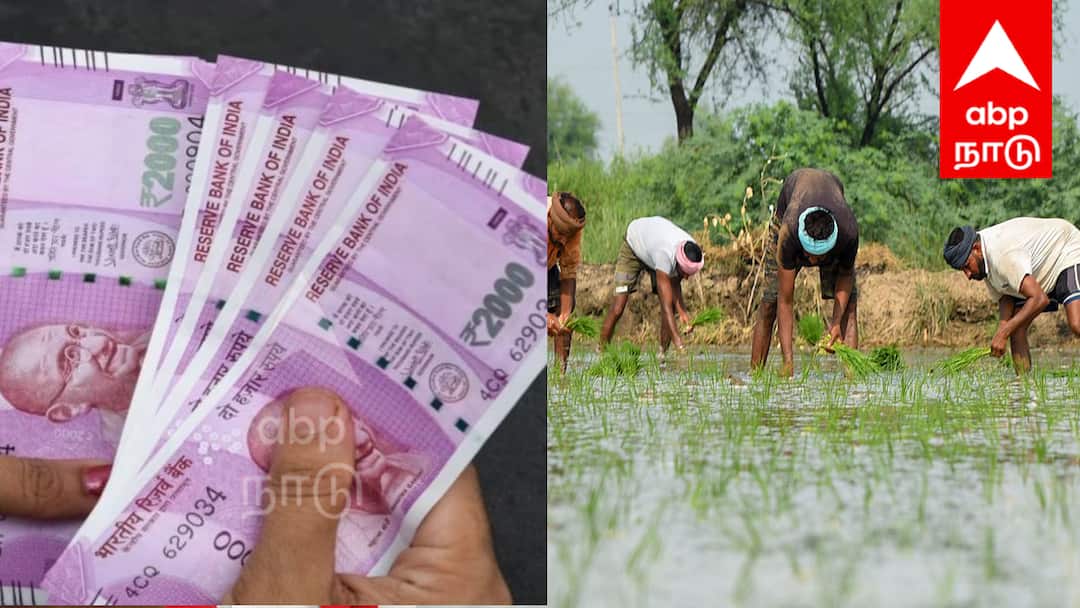 விவசயிகளுக்கு ரூ.6000/- உதவித் தொகை ; விண்ணபிப்பது எப்படி ? முழுவிவரம் உள்ளே !