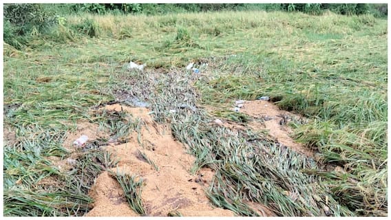 Montha Cyclone Damage: తెలంగాణ రైతులను దెబ్బకొట్టిన ‘మొంథా’ తుపాను - 4.47 లక్షల ఎకరాల్లో పంట నష్టం, పరిహారంపై సాయంత్రానికి ప్రకటన!  