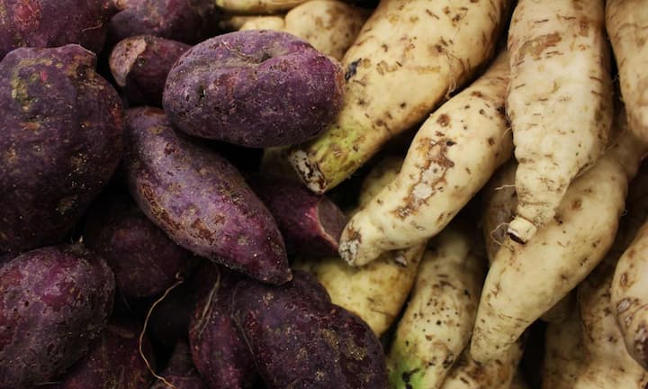 पर्पल स्वीट पोटैटो का रंग एंथोसाइनिन से आता है. यह मजबूत एंटीऑक्सीडेंट है जो सूजन और सेल डैमेज को रोकते हैं. लैब स्टडीज में भी पाया गया है कि यह कंपाउंड कैंसर सेल्स की ग्रोथ को रोकते हैं और उनकी सेल डेथ को ट्रिगर करते हैं. इनमें फाइबर विटामिन और मिनरल्स भी होते हैं जो इम्यून सिस्टम को मजबूत बनाते हैं और शरीर को बीमारियों से बचाते हैं.