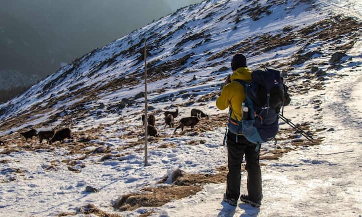 Nag Tibba Track, located in Tehri Garhwal district, is 20 kilometers long and reaches a height of 9,915 feet. This track is considered perfect for small weekend getaways. The easy routes, snow-clad peaks and sunrise views of this track make it the best for family trips or beginner trekkers.