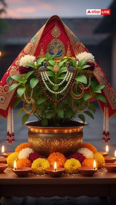 క్షీరాబ్ధి ద్వాదశి రోజు తులసి వివాహం ఇలా చేయండి!  లక్ష్మీదేవి అనుగ్రహం లభిస్తుంది