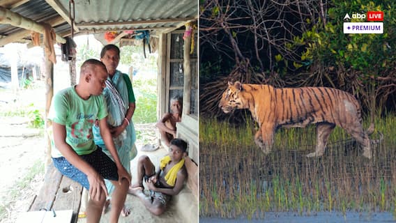 Mauled By A Tiger, Abandoned By The System: Sundarban Fisherman Battles For Life Amid Official Apathy