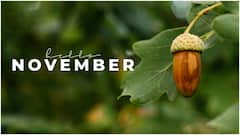 నవంబర్ స్పెషల్ NNN... అబ్బాయిలు ఇది ఫాలో అయితే కలిగే లాభాలేంటి? ఇంట్రెస్టింగ్ ఫ్యాక్ట్స్ ఇవే