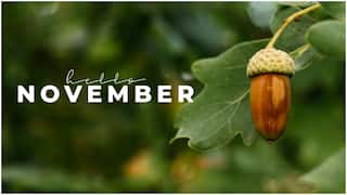 No Nut November : నవంబర్ స్పెషల్ NNN... అబ్బాయిలు ఇది ఫాలో అయితే కలిగే లాభాలేంటి? ఇంట్రెస్టింగ్ ఫ్యాక్ట్స్ ఇవే