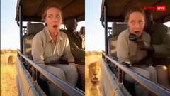 जंगल सफारी पर निकला था कपल तभी पीछे से गुर्राते हुए आ गया आदमखोर, 15 सेकेंड में निकल गई जान